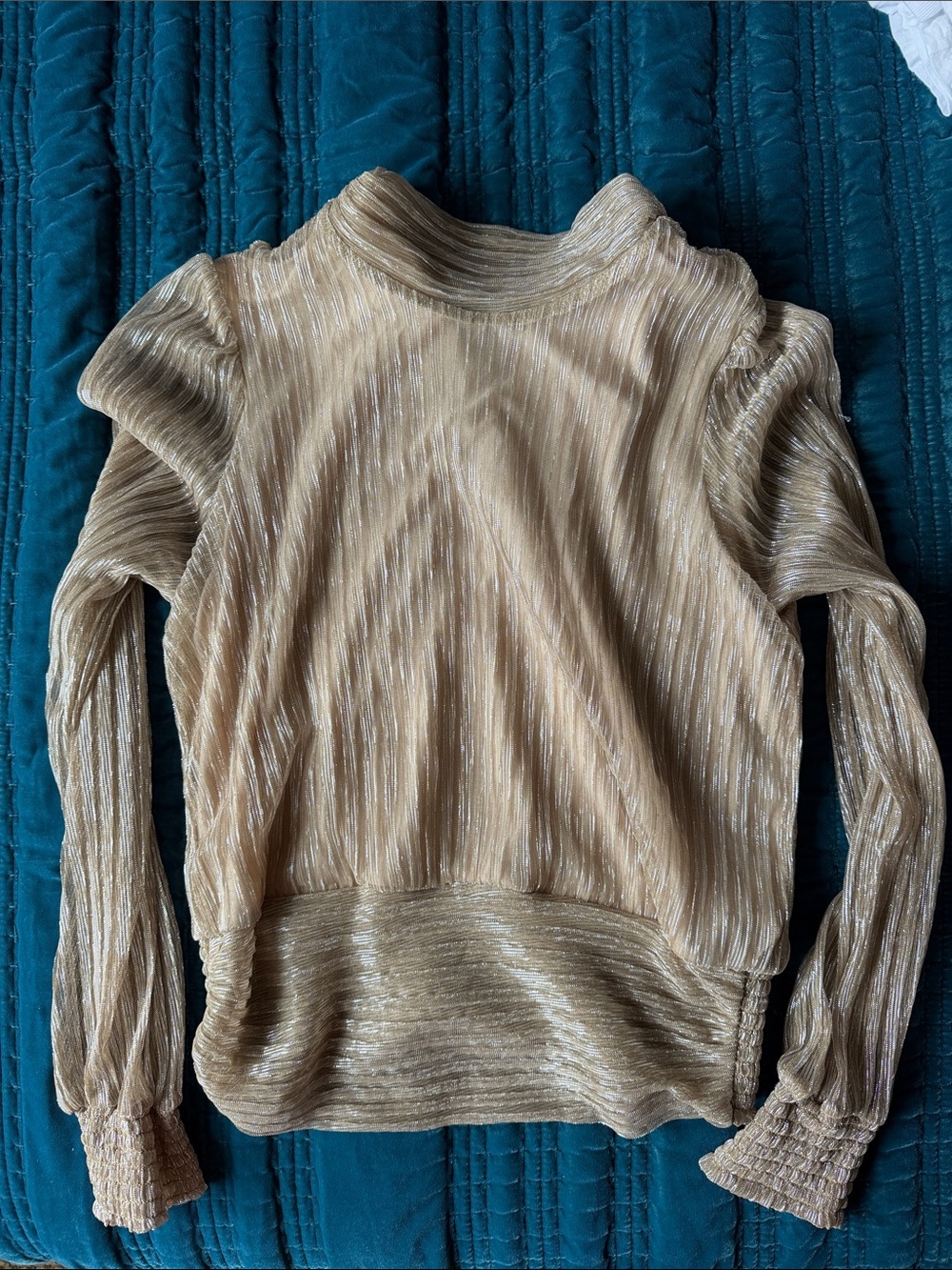 Joie cropped metallic top
